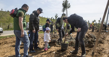 ICA employees welcome spring by planting trees